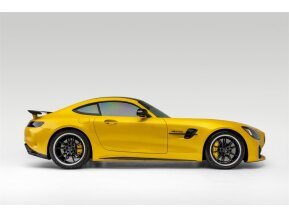 2018 Mercedes-Benz AMG GT R Coupe for sale 101630028